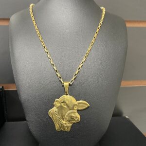 CORRENTE TIJOLINHO +P.NELORE